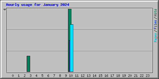 Hourly usage for January 2024