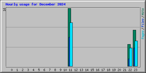 Hourly usage for December 2024