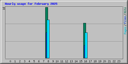Hourly usage for February 2025