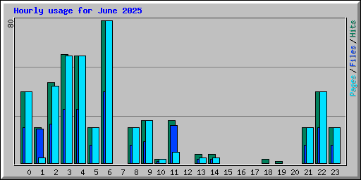 Hourly usage for June 2025