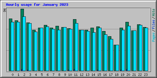 Hourly usage for January 2023