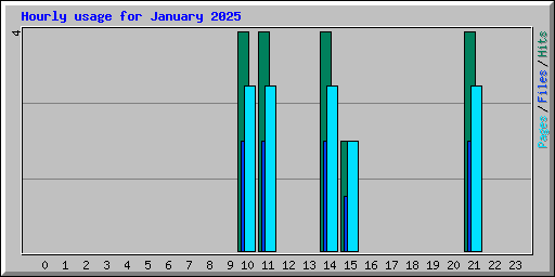 Hourly usage for January 2025