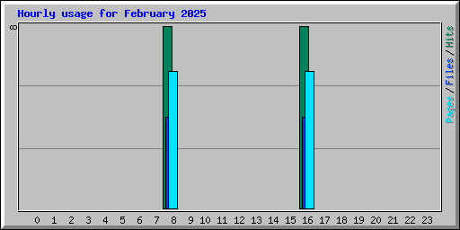 Hourly usage for February 2025