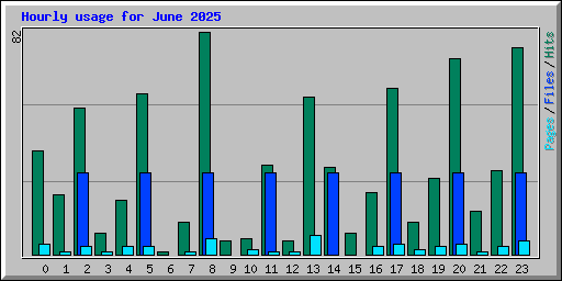 Hourly usage for June 2025