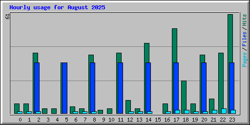 Hourly usage for August 2025
