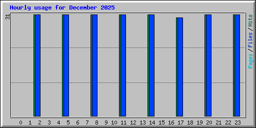 Hourly usage for December 2025