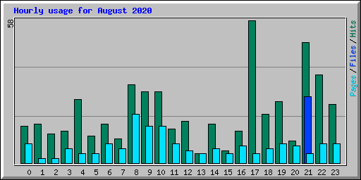 Hourly usage for August 2020