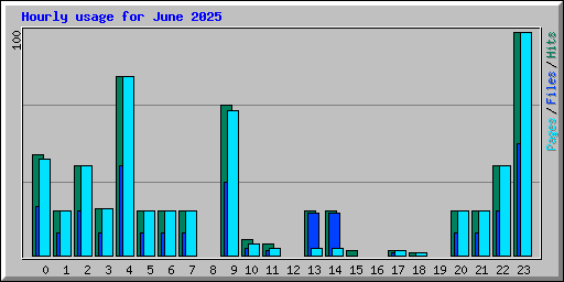 Hourly usage for June 2025