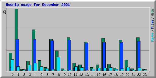 Hourly usage for December 2021