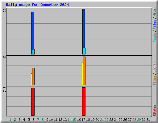 Daily usage for December 2024
