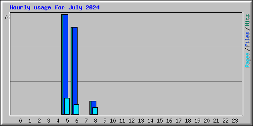 Hourly usage for July 2024