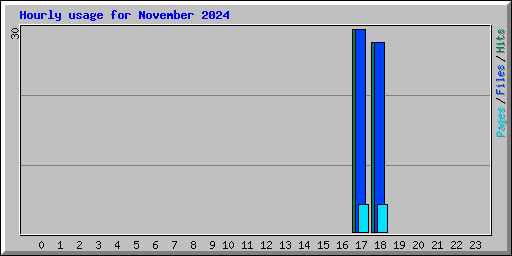 Hourly usage for November 2024
