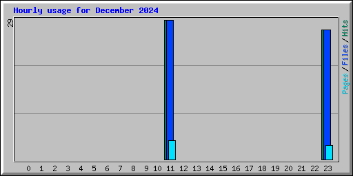Hourly usage for December 2024