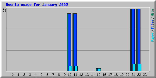 Hourly usage for January 2025