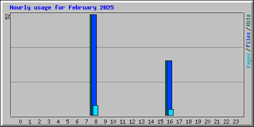 Hourly usage for February 2025