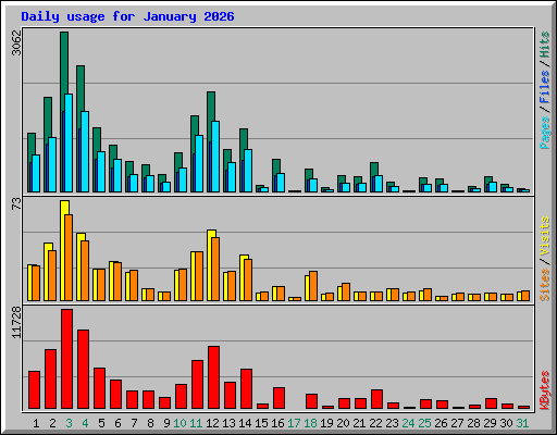 Daily usage for January 2026