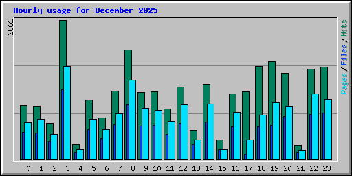 Hourly usage for December 2025