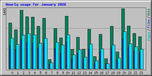 Hourly usage for January 2026