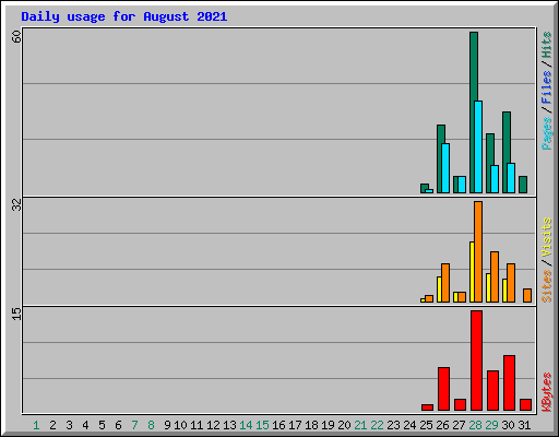 Daily usage for August 2021