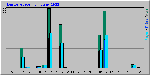 Hourly usage for June 2025