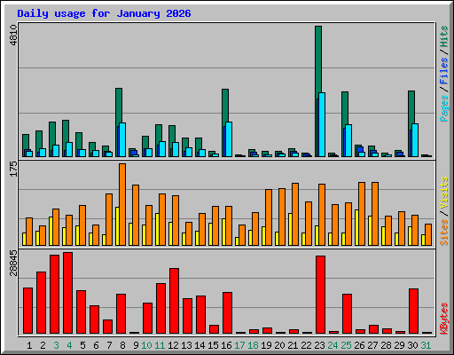 Daily usage for January 2026