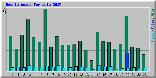 Hourly usage for July 2025