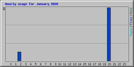 Hourly usage for January 2026