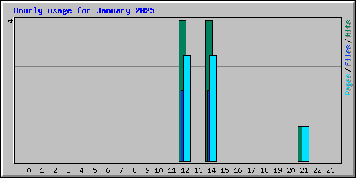 Hourly usage for January 2025