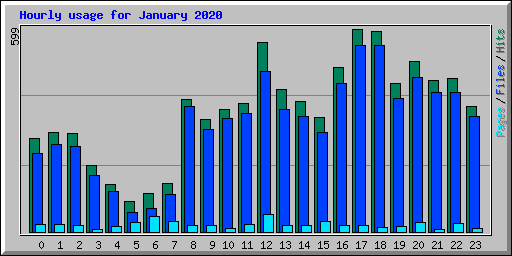 Hourly usage for January 2020