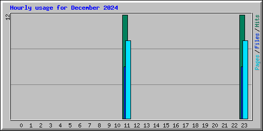 Hourly usage for December 2024