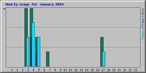 Hourly usage for January 2024
