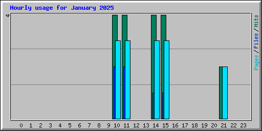 Hourly usage for January 2025