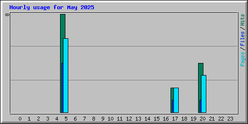 Hourly usage for May 2025