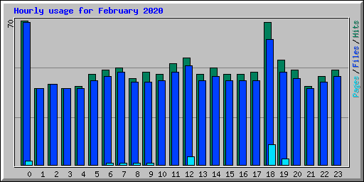 Hourly usage for February 2020