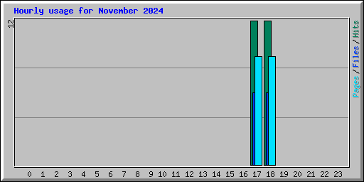 Hourly usage for November 2024