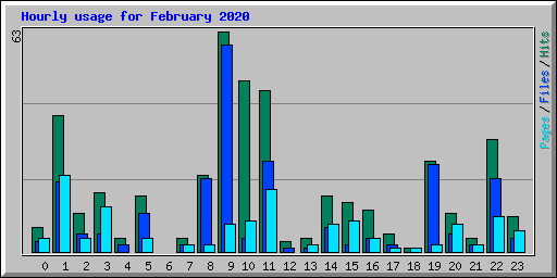 Hourly usage for February 2020
