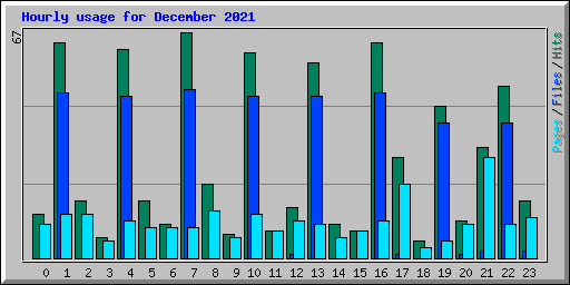 Hourly usage for December 2021