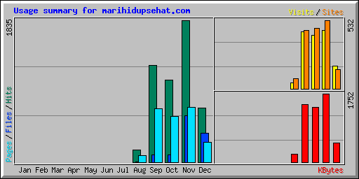 Usage summary for marihidupsehat.com