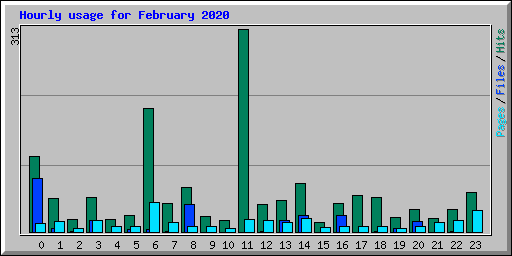 Hourly usage for February 2020