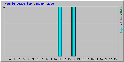Hourly usage for January 2025