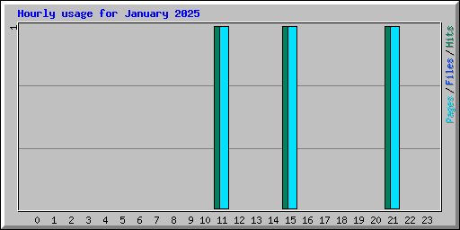 Hourly usage for January 2025