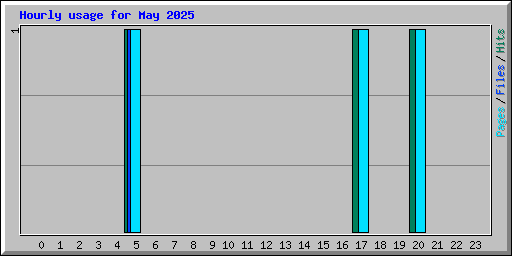 Hourly usage for May 2025