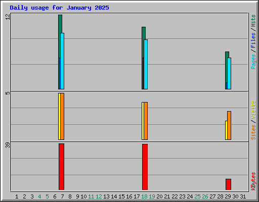 Daily usage for January 2025