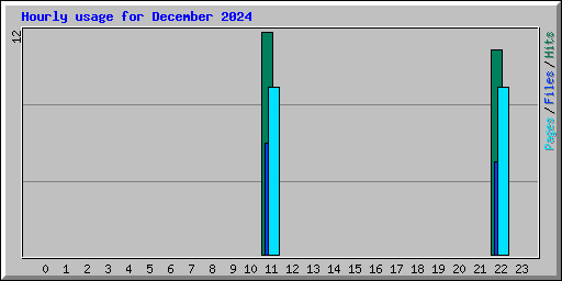 Hourly usage for December 2024