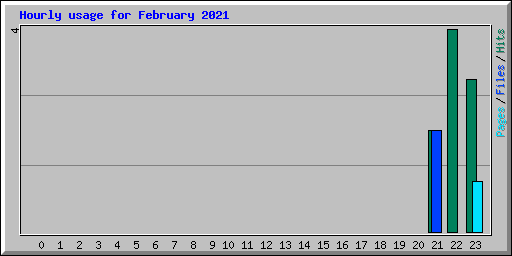 Hourly usage for February 2021