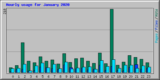 Hourly usage for January 2020