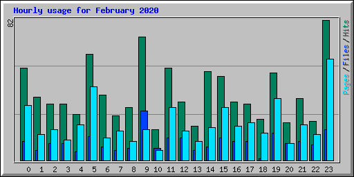 Hourly usage for February 2020