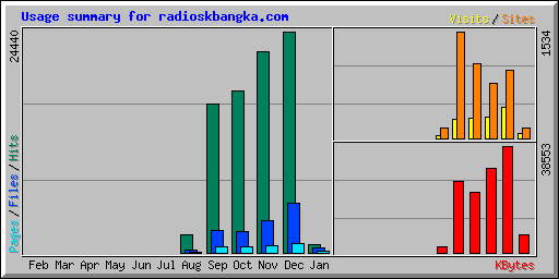 Usage summary for radioskbangka.com