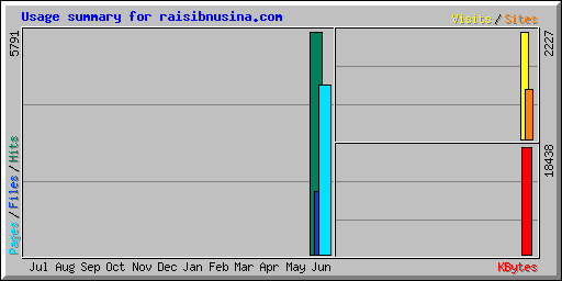 Usage summary for raisibnusina.com