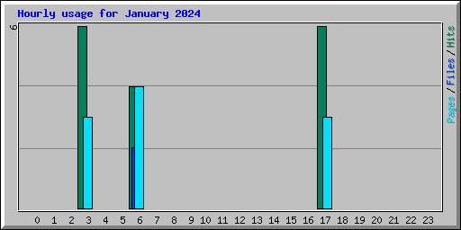 Hourly usage for January 2024